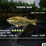 Rapala Fishing Frenzy