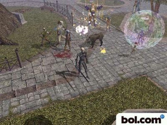 Neverwinter Nights