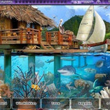 Little Shop: World Traveler