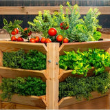 Westmann verhoogde plantenbak Premium XL - 65x90x73 cm