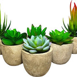Kunstplanten - Vetplanten - stuks - Cadeautip