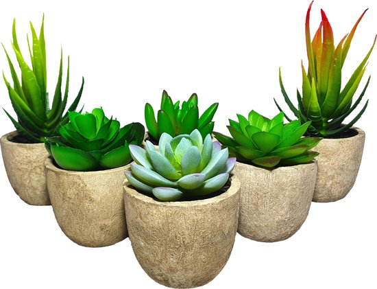 Kunstplanten - Vetplanten - stuks - Cadeautip