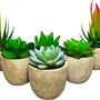 Kunstplanten - Vetplanten - stuks - Cadeautip