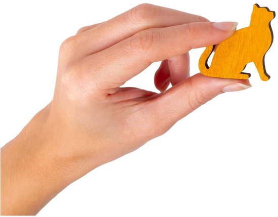 Constantin Kattenmand