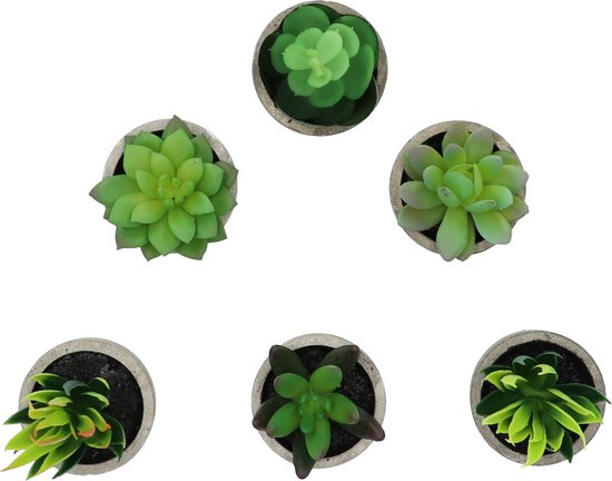 GreenDream® Mini Kunstplanten - Vetplanten in Pot 6 stuks - Cadeautip