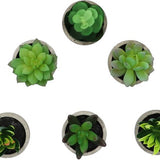 GreenDream® Mini Kunstplanten - Vetplanten in Pot 6 stuks - Cadeautip