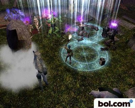 Neverwinter Nights