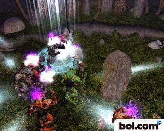 Neverwinter Nights