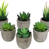 GreenDream® Mini Kunstplanten - Vetplanten in Pot 6 stuks - Cadeautip