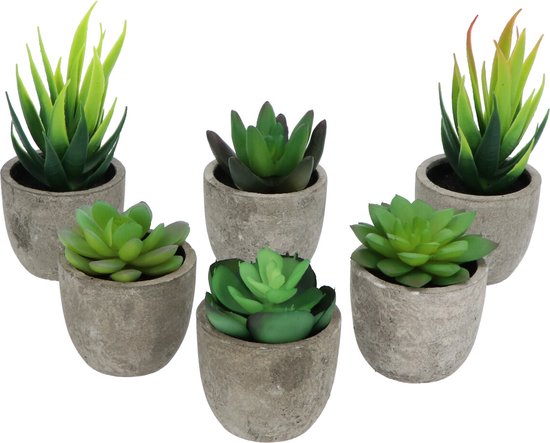 GreenDream® Mini Kunstplanten - Vetplanten in Pot 6 stuks - Cadeautip