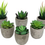 GreenDream® Mini Kunstplanten - Vetplanten in Pot 6 stuks - Cadeautip