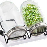 Kiemglas - 2 Stuks - 1000ML - Kiempot set - Groente kiemen - Kiempotten voor Kiemgroenten - Inclusief Houder