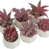 GreenDream® Kunstplanten - in - Cadeautip