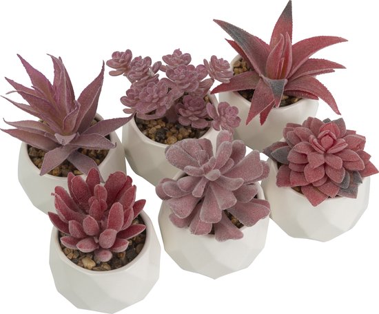 GreenDream® Kunstplanten - in - Cadeautip