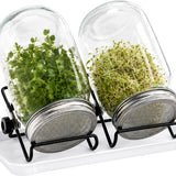 Kiemglas - 2 Stuks - 1000ML - Kiempot set - Groente kiemen - Kiempotten voor Kiemgroenten - Inclusief Houder