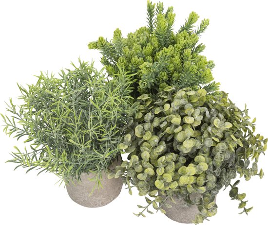 GreenDream® Kunstplanten set met 3 Kleine kunstplanten 20 cm - Cadeautip