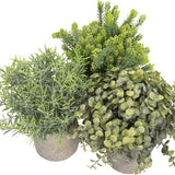 GreenDream® Kunstplanten set met 3 Kleine kunstplanten 20 cm - Cadeautip