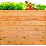 Westmann Plantenbak Kruidenbak WMHL100 - 100x65x66 cm