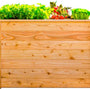 Westmann Plantenbak Kruidenbak WMHL100 - 100x65x66 cm