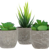 3 stuks Kunstplanten - Kamerplanten - Nep planten - Vetplanten - Cadeautip