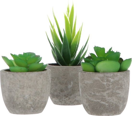 3 stuks Kunstplanten - Kamerplanten - Nep planten - Vetplanten - Cadeautip