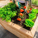 Westmann Plantenbak Kruidenbak WMHL100 - 100x65x66 cm