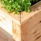 Westmann Plantenbak Kruidenbak WMHL100 - 100x65x66 cm