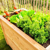 Westmann Plantenbak Kruidenbak WMHL170 - 170x90x84 cm
