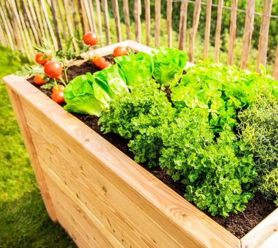 Westmann Plantenbak Kruidenbak WMHL170 - 170x90x84 cm