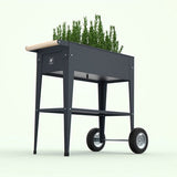 Herstera Garden® Plantenbak Barcelona HG08933901 - Verhoogde Moestuin - Antraciet
