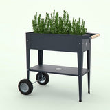 Herstera Garden® Plantenbak Barcelona HG08933901 - Verhoogde Moestuin - Antraciet