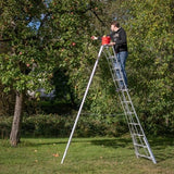 Niwaki Driepoot Tuinladder 300-360 cm Verstelbaar- Snoeiladder Plukladder