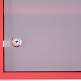 4goodz Medicijnkastje EHBO-kastje met slot RVS 12x30x60 cm - Rood