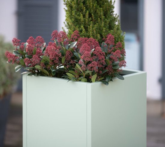 Herstera Garden® Hoge Plantenbak HG08977101 - Cactusgroen