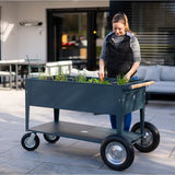 Herstera Garden® Metalen verhoogde Plantenbak Verrijdbaar- 120x60x84cm - Antraciet