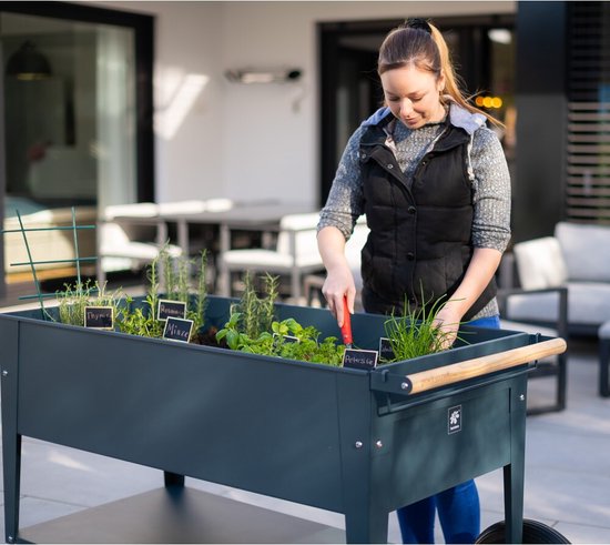 Herstera Garden® Metalen verhoogde Plantenbak Verrijdbaar- 120x60x84cm - Antraciet