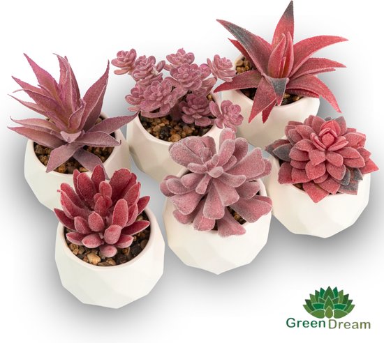 GreenDream® Kunstplanten - in - Cadeautip