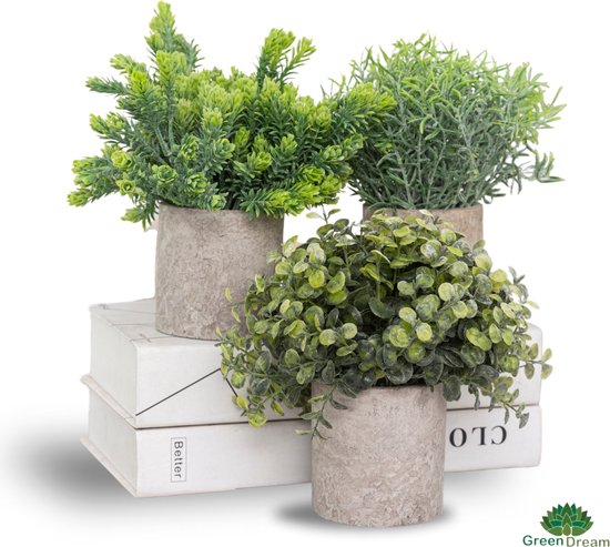 GreenDream® Kunstplanten set met 3 Kleine kunstplanten 20 cm - Cadeautip