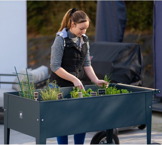 Herstera Garden® Metalen verhoogde Plantenbak Verrijdbaar- 120x60x84cm - Antraciet