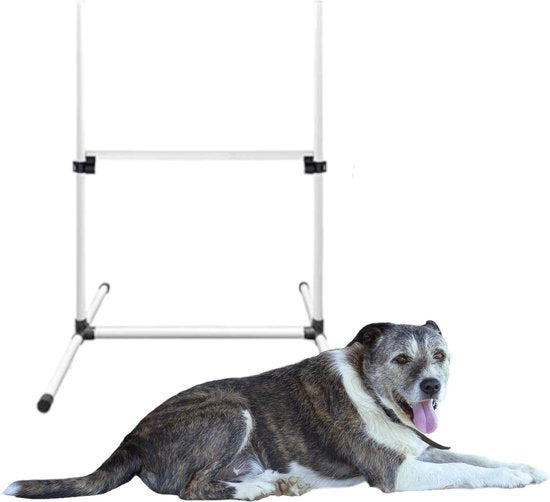Agility voor de Hond - Complete Set inclusief Draagtas - Training van Honden - Honden Slalom - Agility Set voor Honden