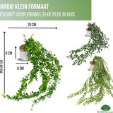 GreenDream® Kunstplanten - in - Cadeautip