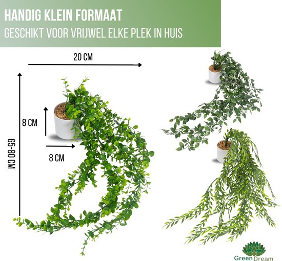 GreenDream® Kunstplanten - in - Cadeautip