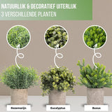 GreenDream® Kunstplanten set met 3 Kleine kunstplanten 20 cm - Cadeautip