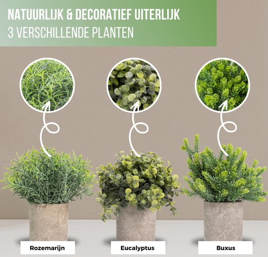 GreenDream® Kunstplanten set met 3 Kleine kunstplanten 20 cm - Cadeautip