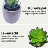 Kunstplanten - Vetplanten - stuks - Cadeautip
