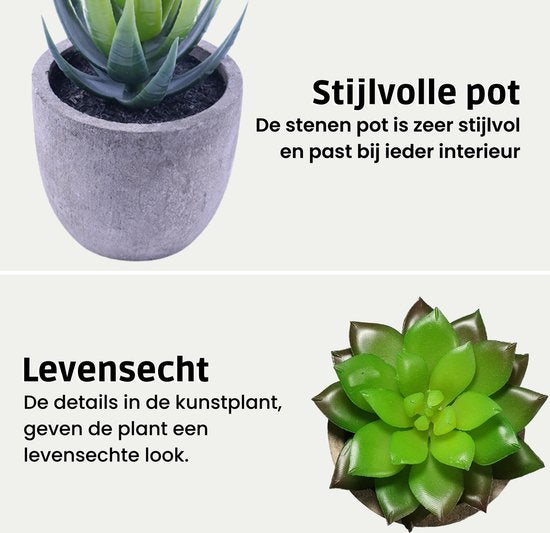 Kunstplanten - Vetplanten - stuks - Cadeautip