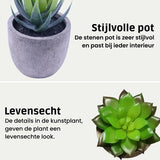 GreenDream® Mini Kunstplanten - Vetplanten in Pot 6 stuks - Cadeautip