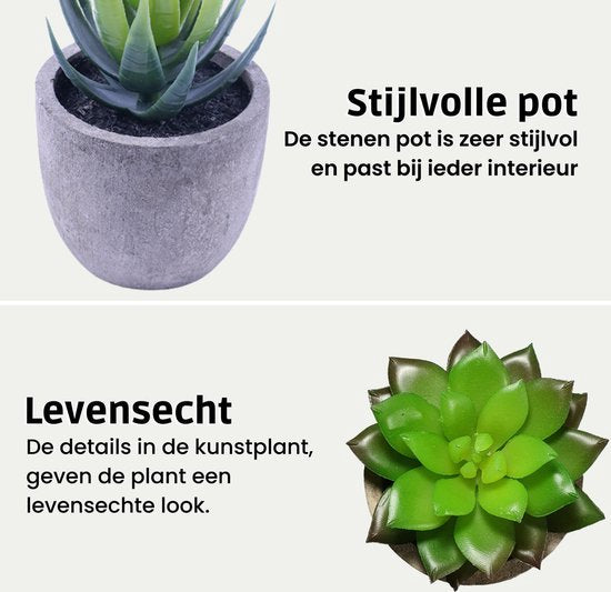 GreenDream® Mini Kunstplanten - Vetplanten in Pot 6 stuks - Cadeautip
