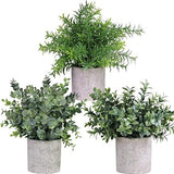 GreenDream® Kunstplanten - stuks - Cadeautip