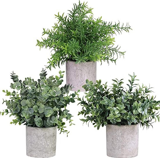 GreenDream® Kunstplanten - stuks - Cadeautip